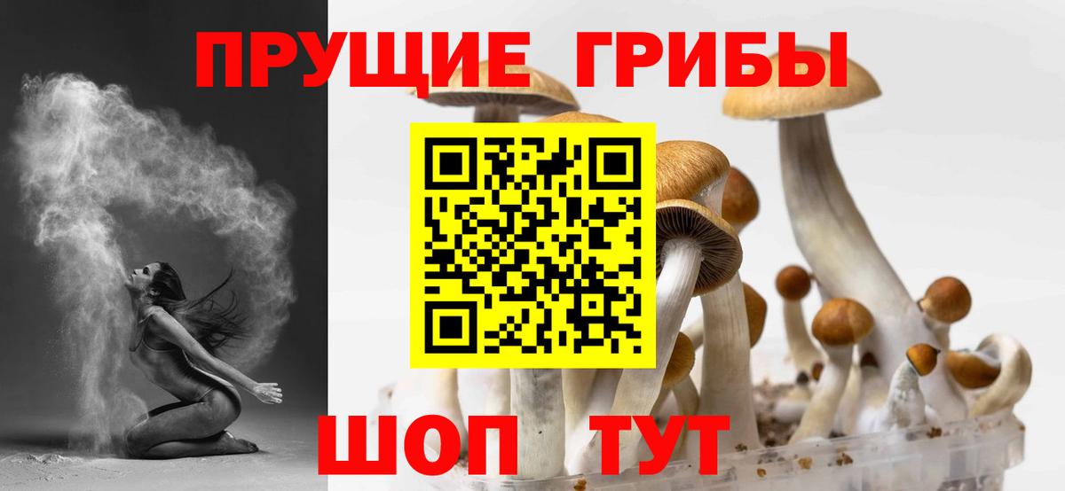 Партизанск  Галлюциногенные грибы Cubensis  Вход с VPN  Псилоцибиновые грибы Psilocybine cubensis 